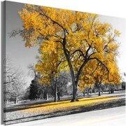 Πίνακας - Autumn in the Park (1 Part) Wide Gold - 120x80