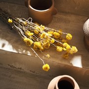 ΑΠΟΞΗΡΑΜΕΝΑ ΑΝΘΗ 45cm GOFIS HOME - SANFORI 120