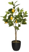 Τεχνητό Δέντρο Λεμονιά (43x43x73) A-S Lemon Tree 179314