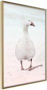 Αφίσα - Walking Goose - 40x60 - Χρυσό - Χωρίς πασπαρτού