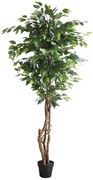 FICUS TREE NP5208_150 Ύψος 150cm