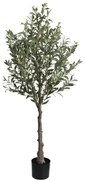New plan OLIVE TREE OLIVE TREE NP439_150 ΥΨΟΣ 150cm Τεμαχιο