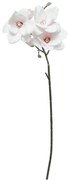 Τεχνητό Λουλούδι 88εκ. A-S Pink Magnolia 199353