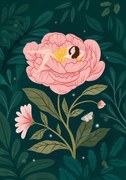 Εικονογράφηση Peony Girl, Petra Holikova