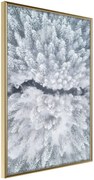 Αφίσα - Winter Forest From a Bird's Eye View - 40x60 - Χρυσό - Χωρίς πασπαρτού