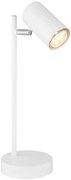 Φωτιστικό Επιτραπέζιο Globo Lighting ROBBY 57910TW