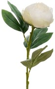 Κλαδί Παιώνια Λευκή 66εκ. iliadis 89810