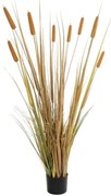 Τεχνητό Φυτό Typha Grass 21483 70x40x150cm Green-Brown GloboStar PVC