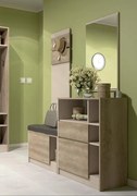 Σύνθεση εισόδου ξύλινο PANDORA 1 160х185х37 DIOMMI 42-019 DIOMMI-42-019
