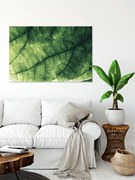 Πίνακας σε καμβά Πράσινο φύλλο KNV1664 30cm x 40cm