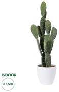 Artificial Garden OPUNTIA FICUS-INDICA CACTUS 20096 Τεχνητό Διακοσμητικό Φυτό Κάκτος Φραγκοσυκιά Υ60cm Globostar 20096