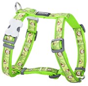 Λουρί Σκύλου Red Dingo STYLE MONKEY LIME GREEN 36-54 cm 30-48 cm
