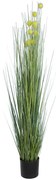 Τεχνητό Φυτό Craspedia Grass 20112 Φ50x150cm Green-Yellow GloboStar PVC