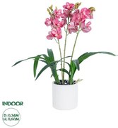 Artificial Garden PINK CHERRY CYMBIDIUM 21402 Διακοσμητικό Φυτό Φούξια Κυμβίδιο Υ60cm Globostar 21402