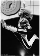 Αφίσα Van Halen - David Lee Roth 1980