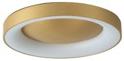 Φωτιστικό Πλαφονιέρα LED Dimmable Homelighting Amaya 77-8159 Gold