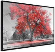 Αφίσα - Red Tree - 60x40 - Μαύρο - Χωρίς πασπαρτού