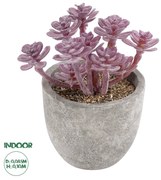 GloboStar® Artificial Garden SUCCULENT SEDUM 21017 Διακοσμητικό Φυτό Παχύφυτο Σέδο Υ10cm