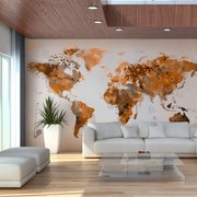 Φωτοταπετσαρία - World in brown shades 450x270