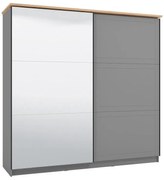 Ντουλάπα Valencia με Καθρέφτη 220 Γκρί - Artisan Oak - Γκρί Μάτ 220x62.5x214 εκ. 220x62.5x214 εκ.