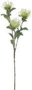 Τεχνητό Κλαδί Protea F4627-GRCR 20x10x83cm Green Artekko Πλαστικό
