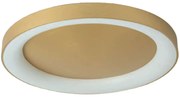 Φωτιστικό Οροφής - Πλαφονιέρα 77-8160 Led 80cm Amaya Brushed Gold Homelighting Αλουμίνιο,Ακρυλικό