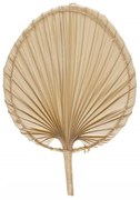 Διακοσμητικό Τοίχου Palm Leave AH-AX20095 29x42cm Natural Andrea House Φύλλο Φοίνικα