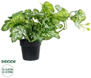 Artificial Garden BEGONIA PLANT 20958 Διακοσμητικό Φυτό Βιγόνια Φ47 x Υ22cm Globostar 20958