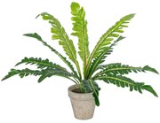 Τεχνητό Φυτό Σε Κασπώ Asplenium 20904 Φ40x33cm Grey-Green GloboStar Πολυαιθυλένιο,Ύφασμα