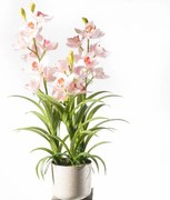 Τεχνητό Φυτό Ορχιδέα Cymbidium Orchid 6401-6 70cm Pink Supergreens Ύφασμα,Πλαστικό