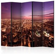 Διαχωριστικό με 5 τμήματα - Chicago Panorama II [Room Dividers]