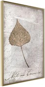 Αφίσα - Dried Leaf - 40x60 - Χρυσό - Χωρίς πασπαρτού