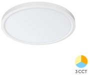 Φωτιστικό Οροφής Braytron BP07-00380 Λευκό (White) CCT3