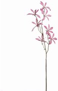 Τεχνητό Κλαδί Σεφλέρα Mini 6691-7 88cm Pink Supergreens Πολυαιθυλένιο,Ύφασμα