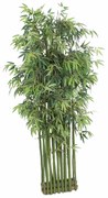 Supergreens Τεχνητό Μπαμπού Tallgrass Διαχωριστικό Πράσινο 200 εκ.
