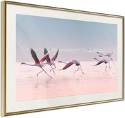 Αφίσα - Flamingos Breaking into a Flight - 60x40 - Χρυσό - Με πασπαρτού