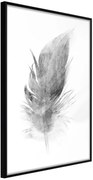 Αφίσα - Lost Feather (Grey) - 40x60 - Μαύρο - Χωρίς πασπαρτού