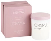 Αρωματικό Κερί 160gr Kentia Mood Όραμα