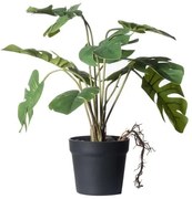 Τεχνητό Φυτό Μονστέρα Minima 35 εκ. 1260-6 Supergreens-1260-6-Πράσινο 1260-6
