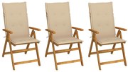 vidaXL Καρέκλες Κήπου Πτυσσόμενες 3 τεμ. από Ξύλο Ακακίας με Μαξιλάρια