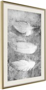 Αφίσα - Delicate Feathers - 40x60 - Χρυσό - Με πασπαρτού