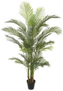 ΔΕΝΤΡΟ ΚΕΝΤΙΑ REAL TOUCH ΣΕ ΓΛΑΣΤΡΑ Y210cm 2/ΚΙΒ - 04-10006(21024)