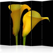 Διαχωριστικό με 5 τμήματα - Two yellow calla flowers on a black background II [Room Dividers]