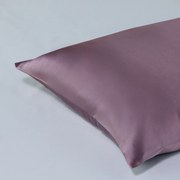 Μεταξωτή Μαξιλαροθήκη Με Φερμουάρ (50x75) Kentia Stylish Silk Σάπιο Μήλο