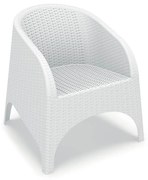 Πολυθρόνα Aruba White 53-0004 Siesta