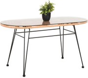 Τραπέζι Κήπου Χαμηλό Allegra HM5695.11 100x45x51,5cm Beige