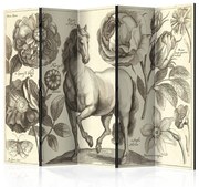 Διαχωριστικό με 5 τμήματα - Horse II [Room Dividers] 225x172