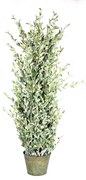 Supergreens Τεχνητό Φυτό Silverberry Πράσινο 183 εκ