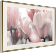 Αφίσα - Pastel Tulips II - 60x40 - Χρυσό - Με πασπαρτού