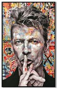 ΠΙΝΑΚΑΣ ΣΕ ΚΑΜΒΑ ΜΕ ΠΛΑΣΤΙΚΟ ΠΛΑΙΣΙΟ Fylliana &quot;David Bowie&quot; 62x4x92cm